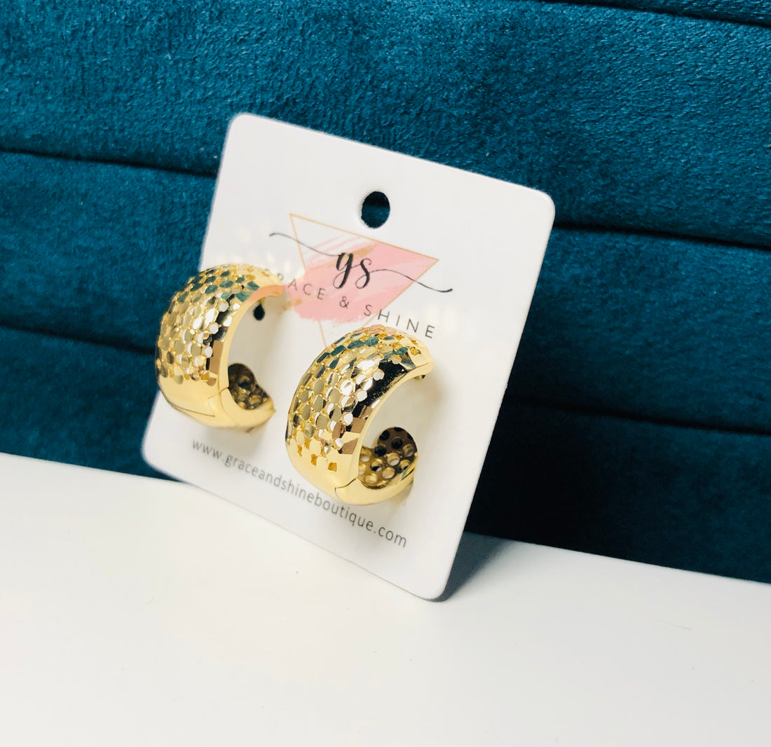 Elegant Mesh Huggie Earrings -14K Gold P.